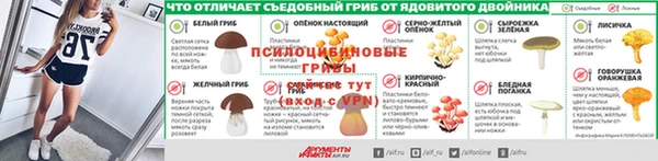 тгк Алексин