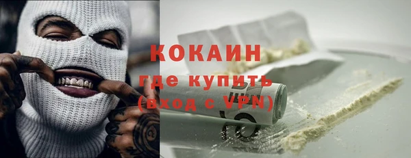 соль ск Алзамай