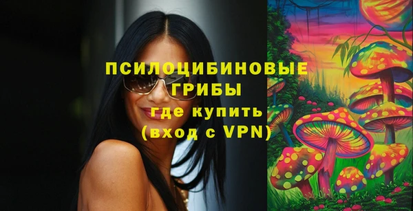 тгк Алексин