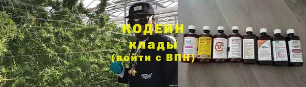 соль ск Алзамай